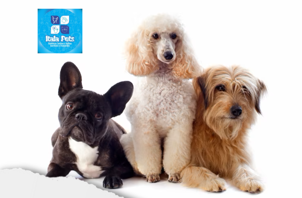 ITALA PETS