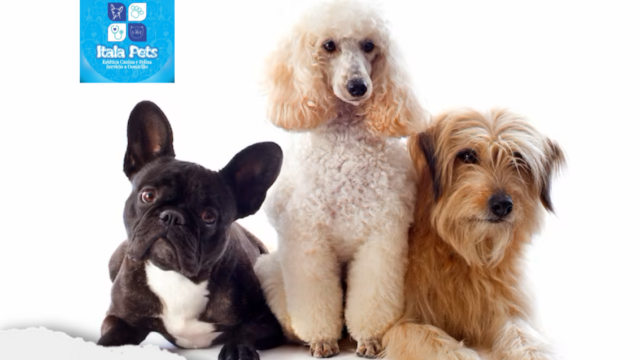 ITALA PETS