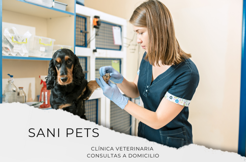 SANI PETS