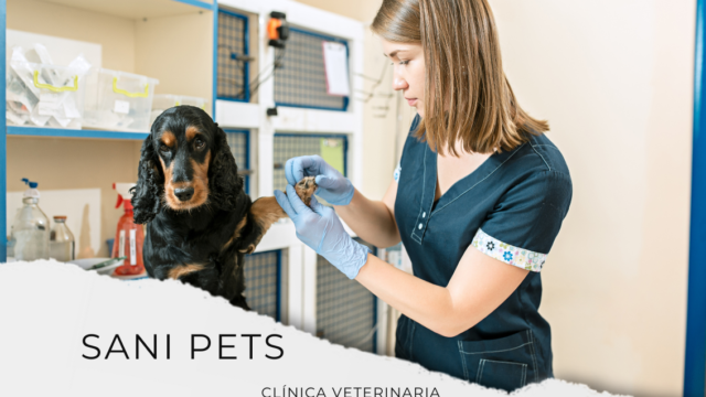 SANI PETS