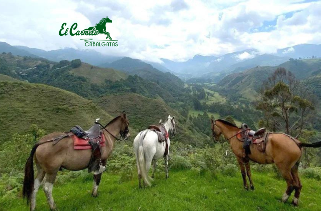 CABALGATAS EL CARMELO