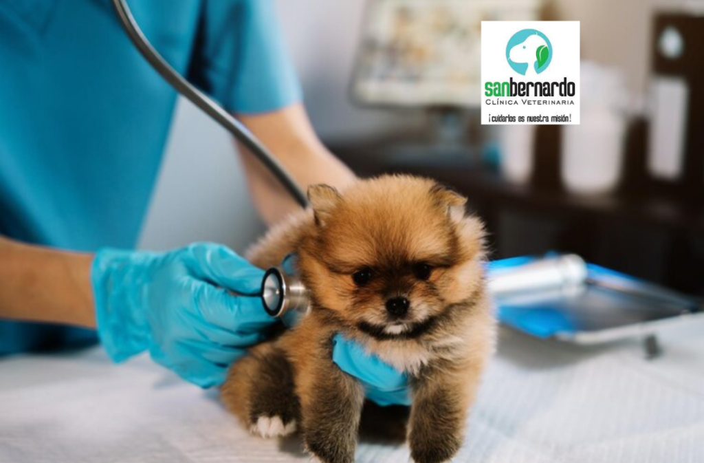 CLINICA SAN BERNARDO