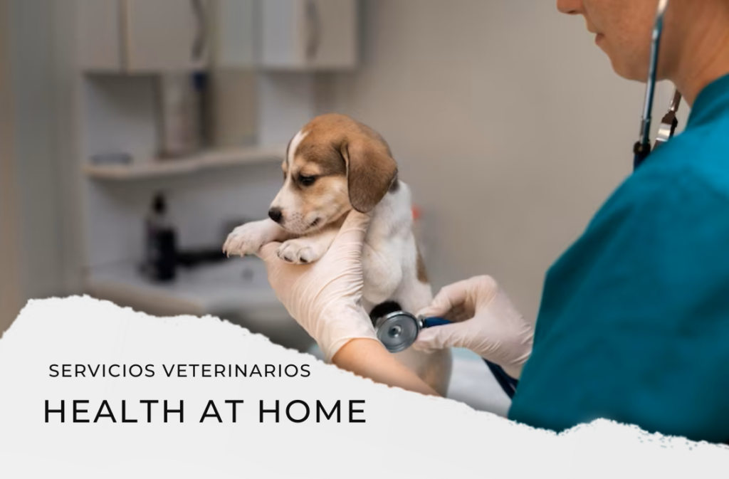 HEALTH HOME