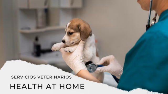 HEALTH HOME