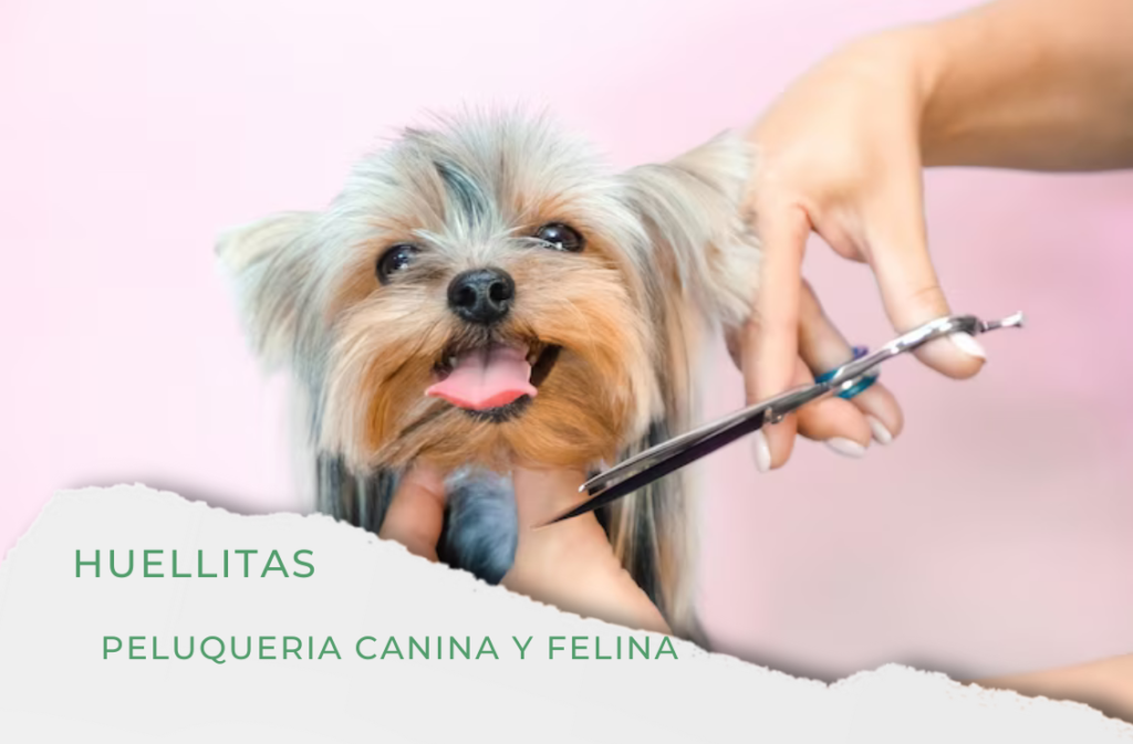 HUELLITAS