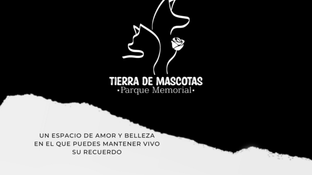 TIERRA DE MASCOTAS